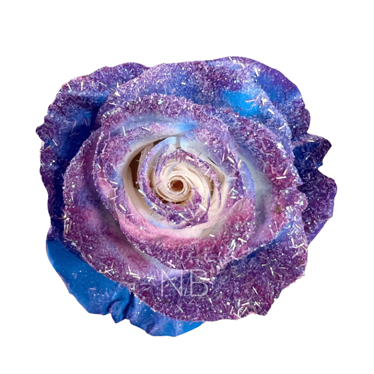 blue cosmic roses