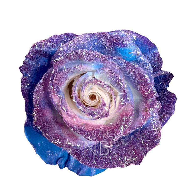 blue cosmic roses
