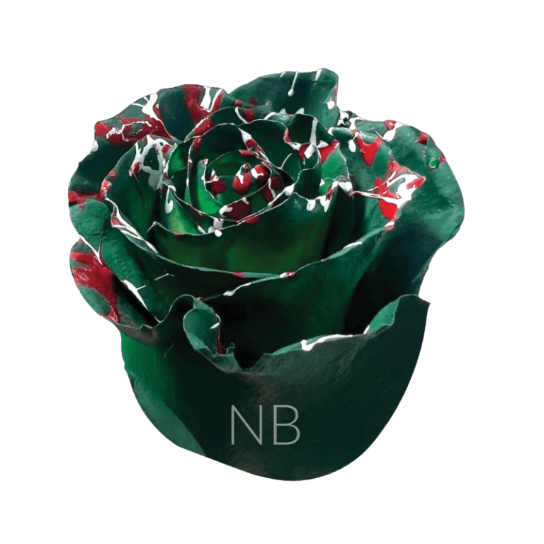 Christmas Tinted Roses