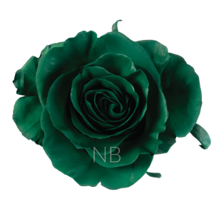 Dark Green Tinted Roses