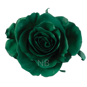 Dark Green Tinted Roses