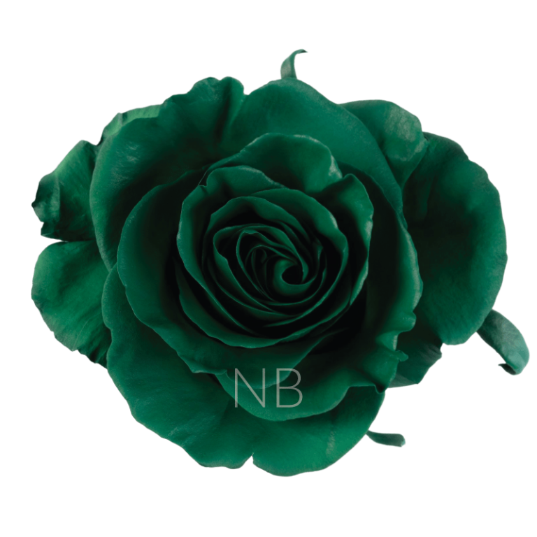 Dark Green Tinted Roses