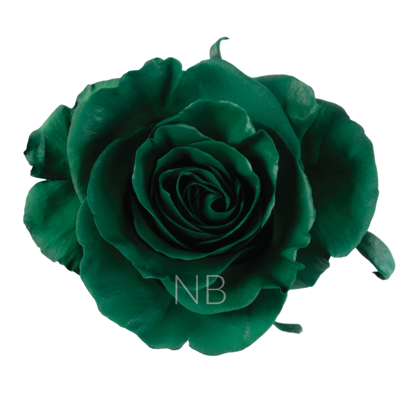 Dark Green Tinted Roses
