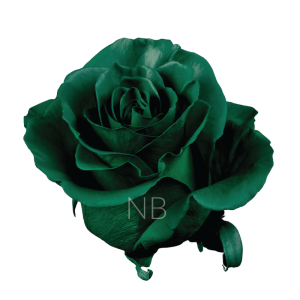 Dark Green Tinted Roses