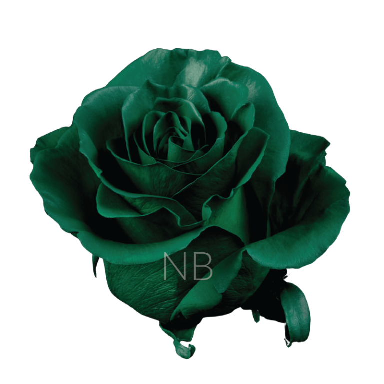 Dark Green Tinted Roses