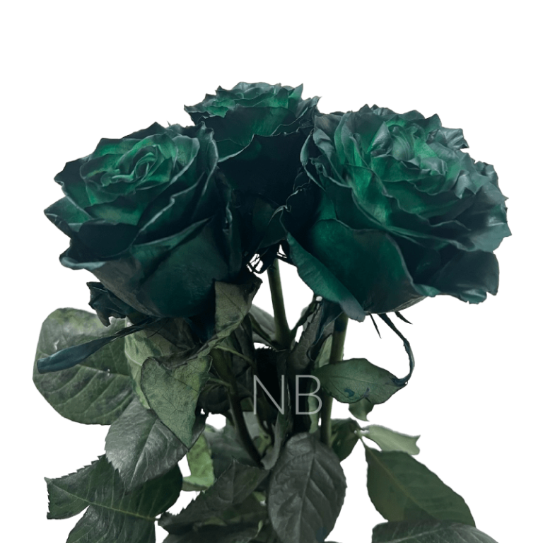 Dark Green Tinted Rose