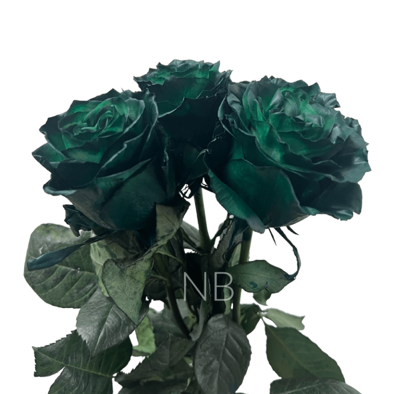 Dark Green Tinted Rose