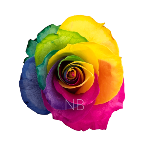 Rainbow tinted roses