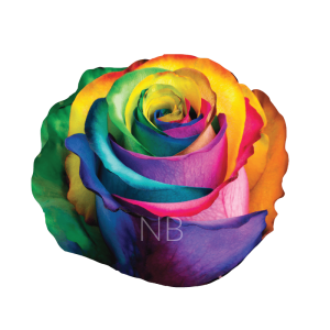 rainbow tinted roses