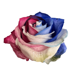 patriot tinted roses