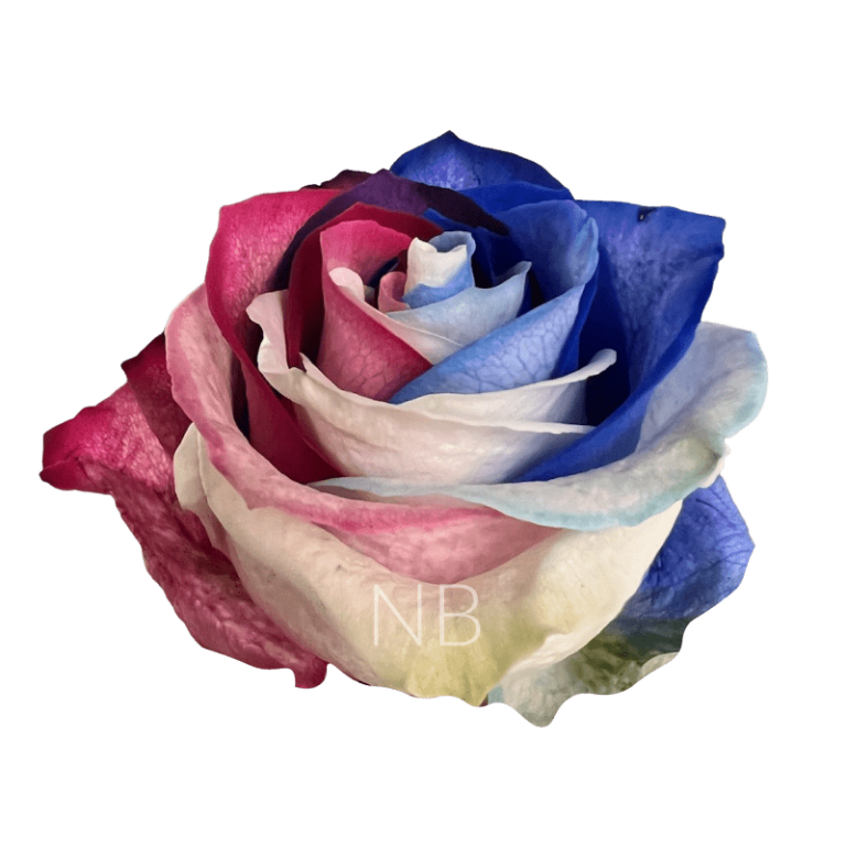 patriot tinted roses