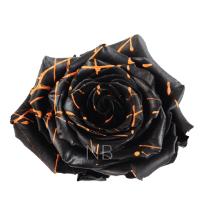 Trick or treat tinted roses
