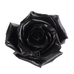 black roses