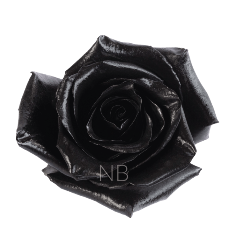 black roses