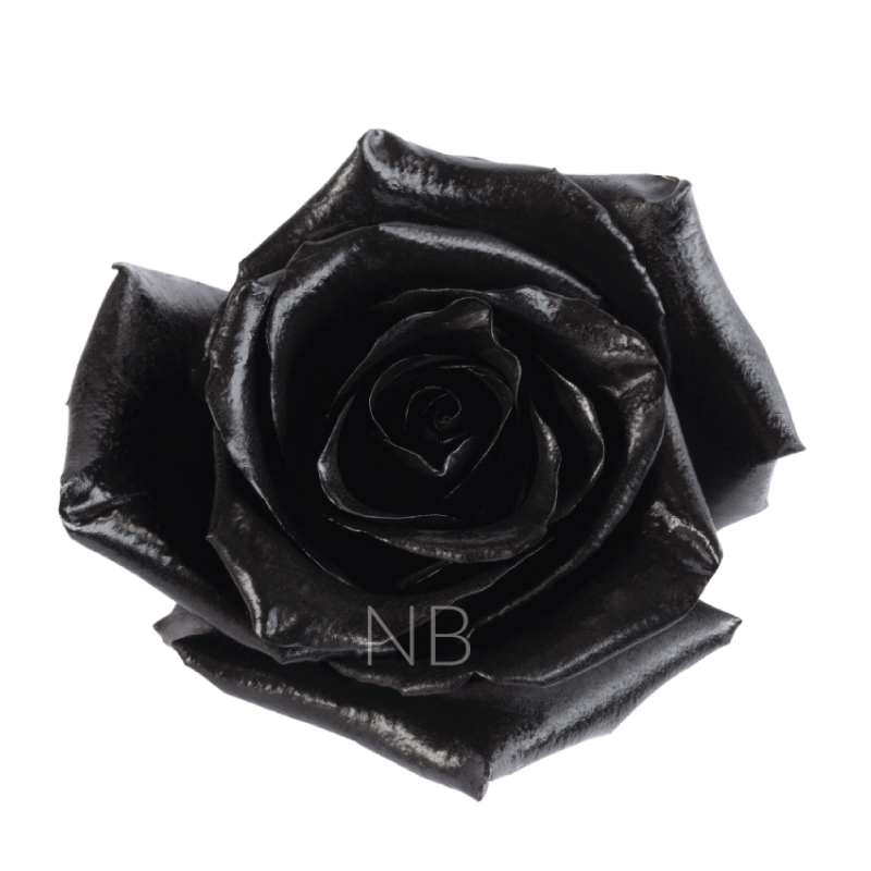 black roses