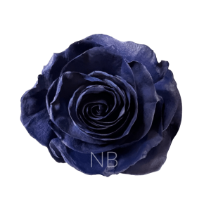 Navy blue roses