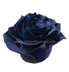 navy-blue-tinted-roses