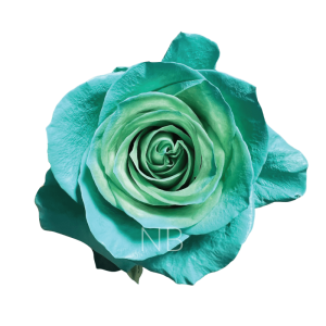 Green Pastel Roses