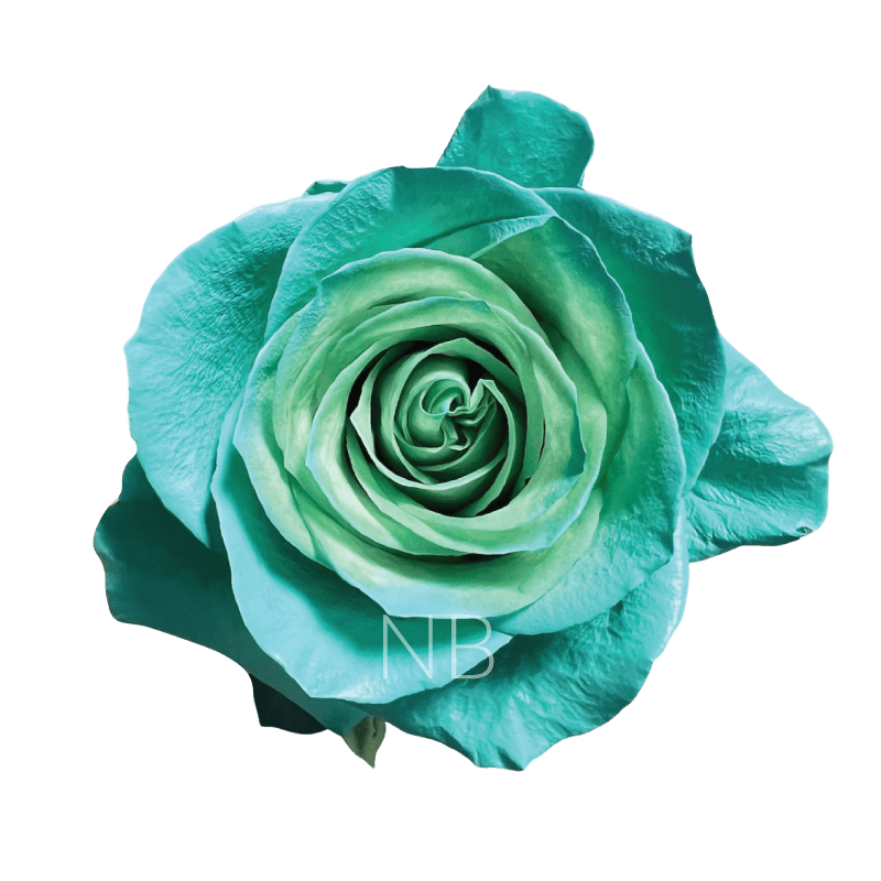 Green Pastel Roses