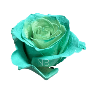Green Pastel Rose