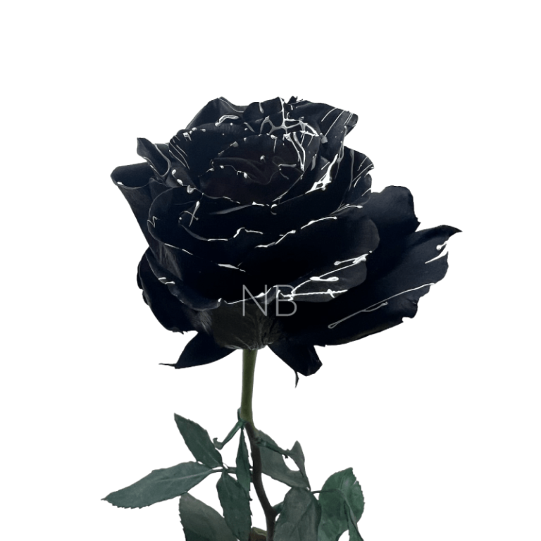 Skull tinted rose