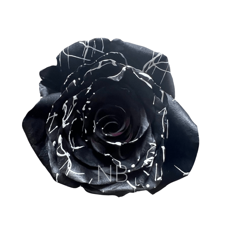 skull tinted roses