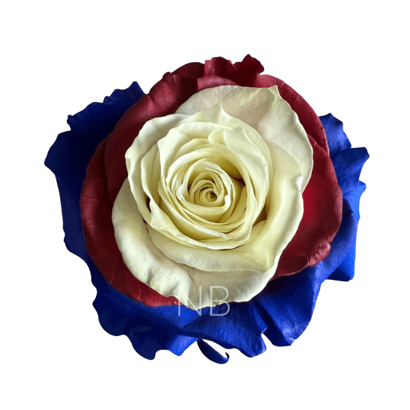 Us Candy Roses