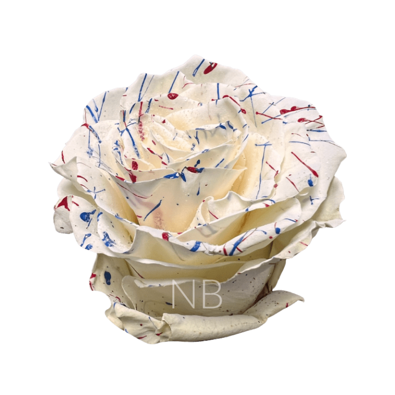 us white confetti rose