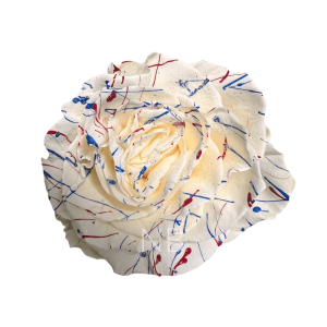 us white confetti roses