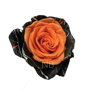 Bewitched Confetti Orange tinted roses