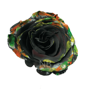 black halloween brush roses