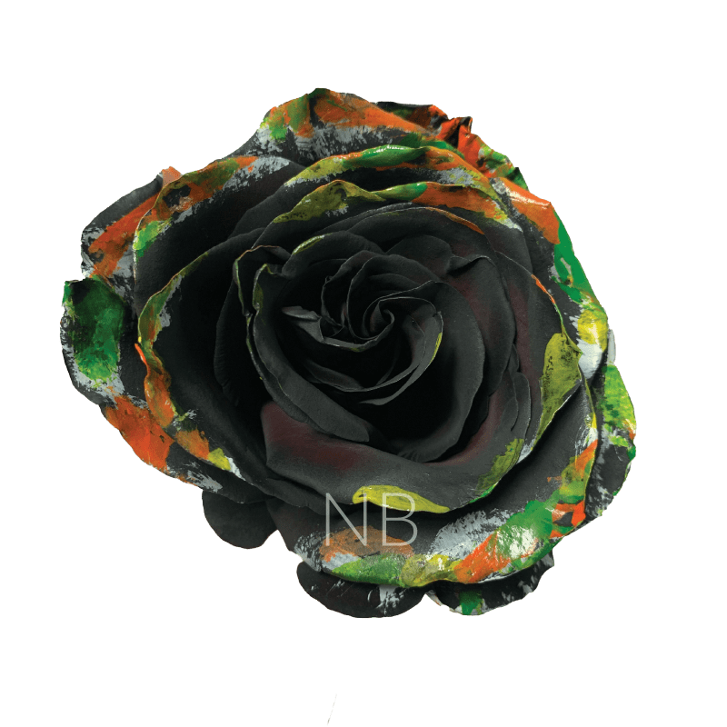 black halloween brush roses