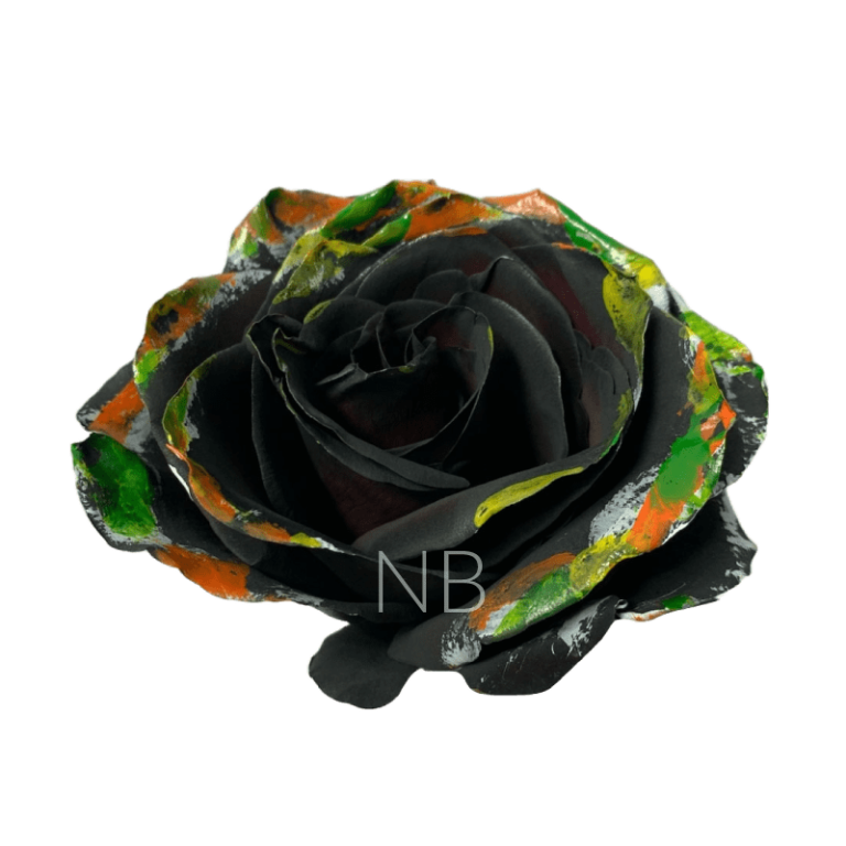 black halloween brush rose