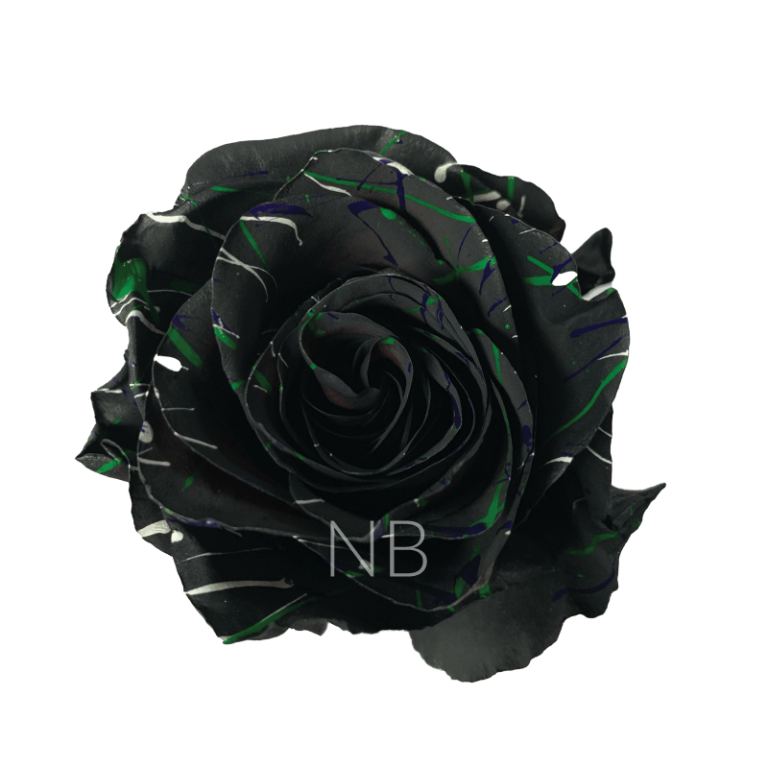 Black Halloween Confetti 2 Tinted Roses