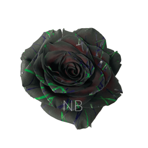 Black Halloween Confetti Roses 3