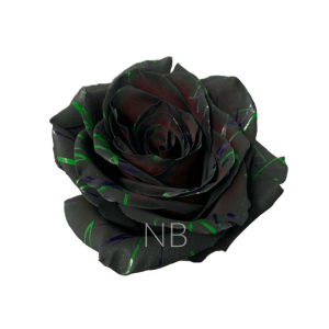 Black Halloween Confetti Roses 3