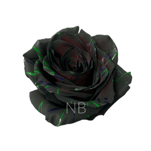 Black Halloween Confetti Roses 3