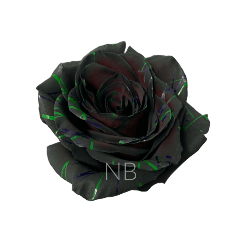 Black Halloween Confetti Roses 3