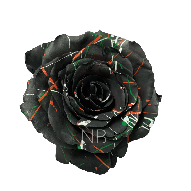 Black Halloween Confetti Tinted Roses