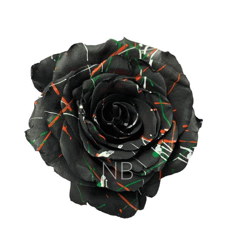 Black Halloween Confetti Tinted Roses