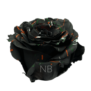 Black Halloween Confetti Tinted Rose