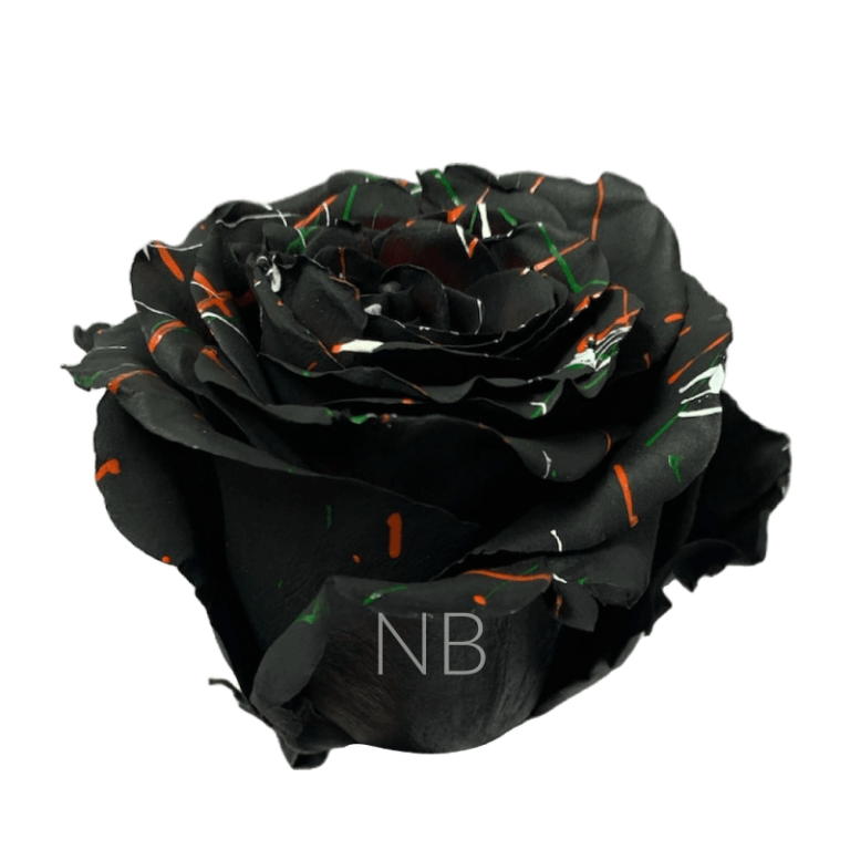 Black Halloween Confetti Tinted Rose