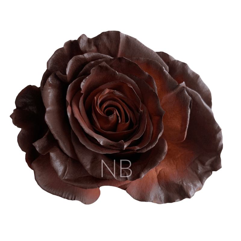 Chestnut Tinted Roses