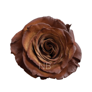 Cinnamon tinted roses