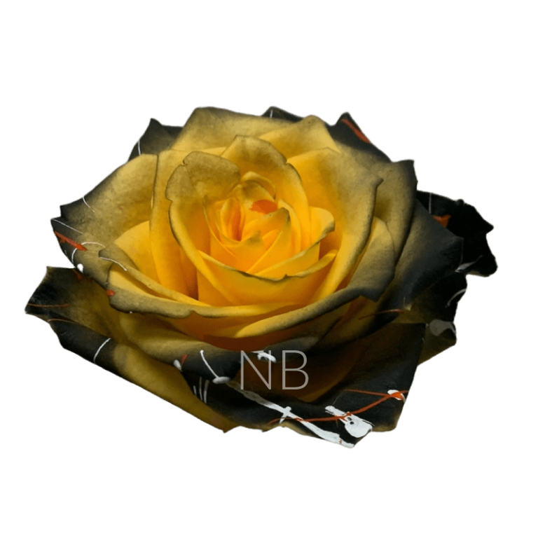 Confetti Halloween Yellow Tinted Rose