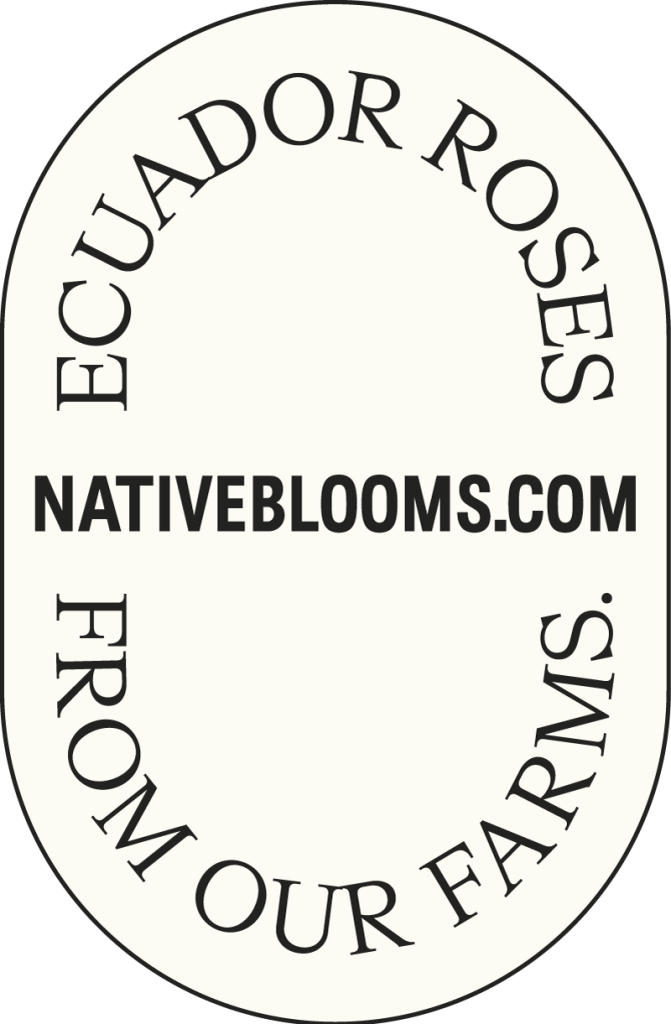 ecuador roses from our farms