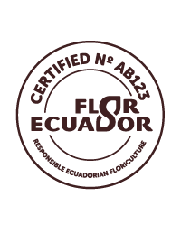 Flor Ecuador Certification Ecuadorian Roses farm Native Blooms