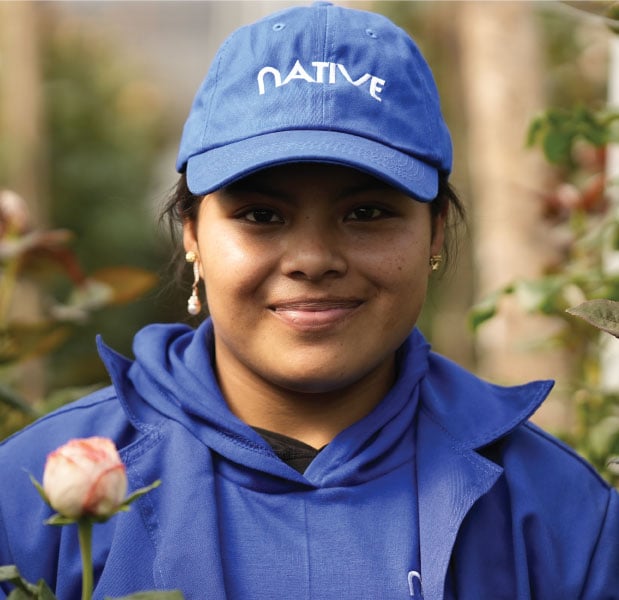 high-quality roses from Ecuador