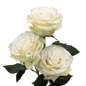 WHITEGLITTER_BUQUET_WEB white glitter roses