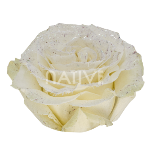 WHITEGLITTER_PICADO_WEB white glitter roses
